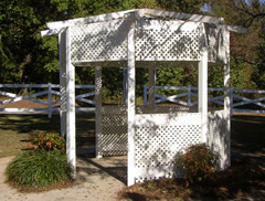 Welcome to the Widewater HOA Blog – Your Neighborhood Connection